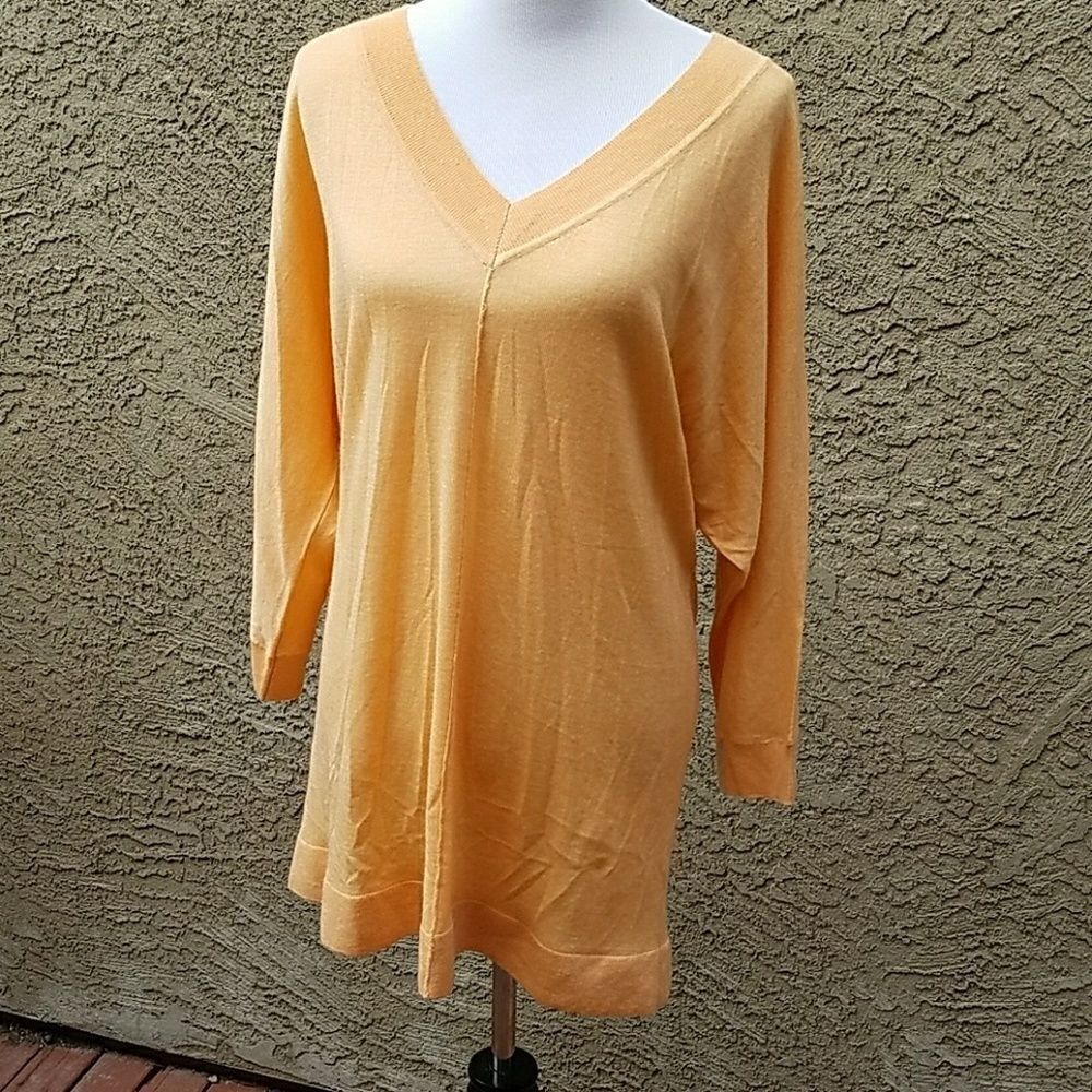 NORDSTROM COLLECTION Sheer V-Neck Sweater (F14)